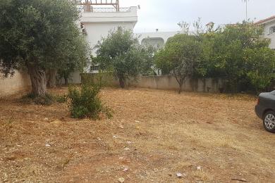 Land for sale in Vari (Korbi), Greece