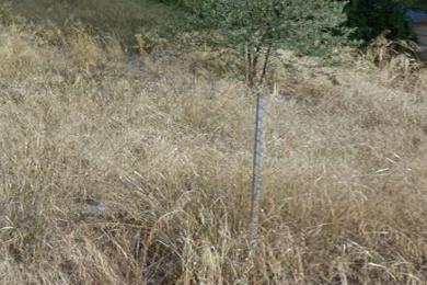 Land for sale in Glyfada (Exoni), Athens Greece.