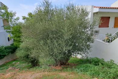 Plot for sale in Voula, Athens Riviera Greece