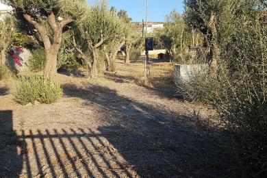 Land for sale in Vari, Athens Riviera Greece