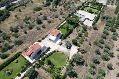 Estate with 2 properties and events area for sale in Agia Marina