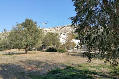 Land for sale in Saronida, Athens Greece.